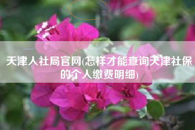 天津人社局官网(怎样才能查询天津社保的个人缴费明细)