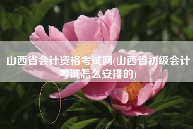 山西省会计资格考试网(山西省初级会计考试怎么安排的)