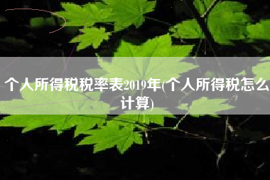 个人所得税税率表2019年(个人所得税怎么计算)