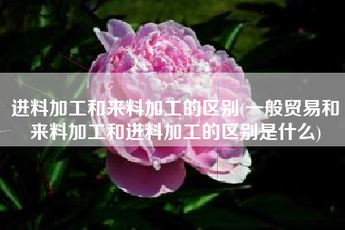 进料加工和来料加工的区别(一般贸易和来料加工和进料加工的区别是什么)