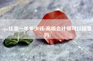 cpa挂靠一年多少钱(高级会计师可以挂靠吗)