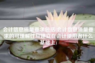 会计信息质量要求包括(会计信息质量要求的可理解性应建立在会计使用者什么基础上)