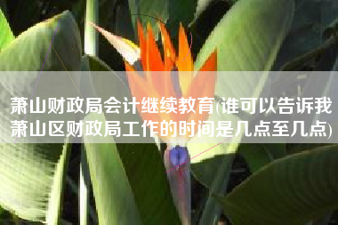 萧山财政局会计继续教育(谁可以告诉我萧山区财政局工作的时间是几点至几点)