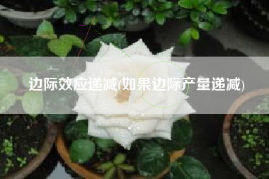 边际效应递减(如果边际产量递减)