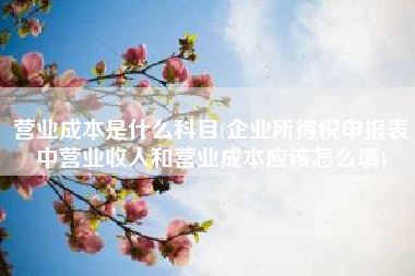 营业成本是什么科目(企业所得税申报表中营业收入和营业成本应该怎么填)