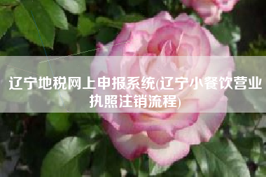 辽宁地税网上申报系统(辽宁小餐饮营业执照注销流程)