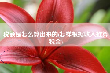 税额是怎么算出来的(怎样根据收入推算税金)