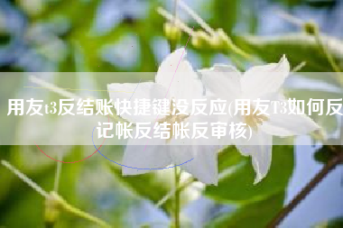 用友t3反结账快捷键没反应(用友T3如何反记帐反结帐反审核)