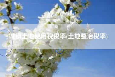 城镇土地使用税税率(土地整治税率)