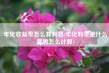 年化收益率怎么算利息(年化利率是什么意思怎么计算)
