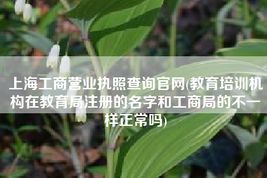 上海工商营业执照查询官网(教育培训机构在教育局注册的名字和工商局的不一样正常吗)