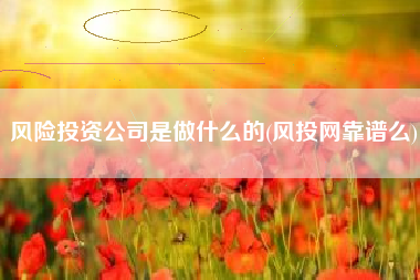 风险投资公司是做什么的(风投网靠谱么)