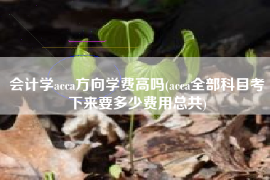 会计学acca方向学费高吗(acca全部科目考下来要多少费用总共)