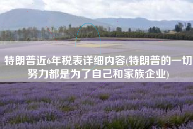 特朗普近6年税表详细内容(特朗普的一切努力都是为了自己和家族企业)