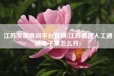 江苏发票查询平台官网(江苏高速人工通道电子票怎么开)
