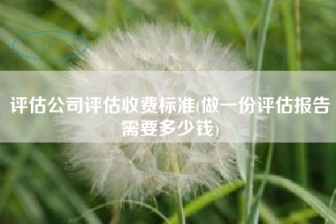 评估公司评估收费标准(做一份评估报告需要多少钱)