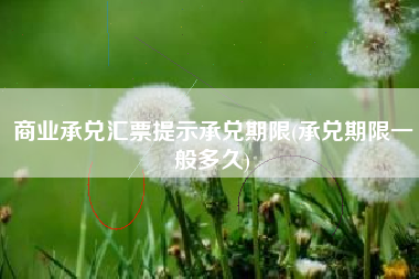 商业承兑汇票提示承兑期限(承兑期限一般多久)