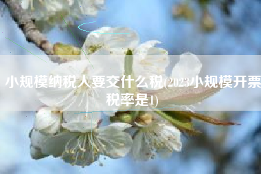 小规模纳税人要交什么税(2023小规模开票税率是1)