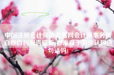 中国注册会计师协会官网会计师事务所自查自纠报告模板(都来自于穷你认同这句话吗)