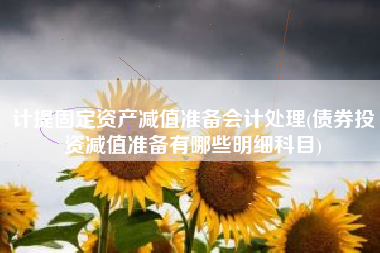 计提固定资产减值准备会计处理(债券投资减值准备有哪些明细科目)