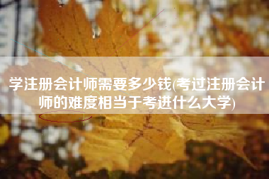 学注册会计师需要多少钱(考过注册会计师的难度相当于考进什么大学)
