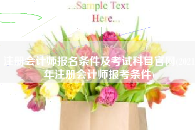 注册会计师报名条件及考试科目官网(2021年注册会计师报考条件)