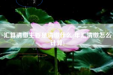 汇算清缴主要是清缴什么(年汇清缴怎么计算)