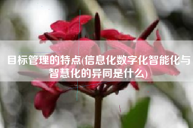 目标管理的特点(信息化数字化智能化与智慧化的异同是什么)