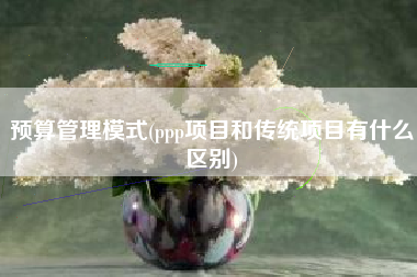 预算管理模式(ppp项目和传统项目有什么区别)