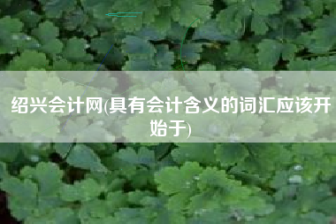 绍兴会计网(具有会计含义的词汇应该开始于)