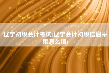 辽宁初级会计考试(辽宁会计初级信息采集怎么填)