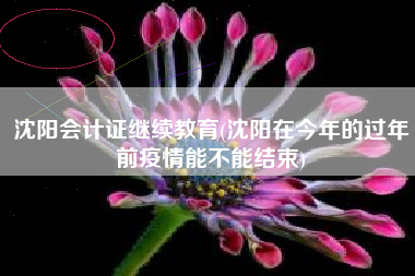 沈阳会计证继续教育(沈阳在今年的过年前疫情能不能结束)