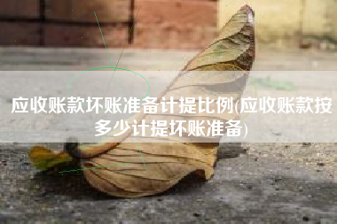 应收账款坏账准备计提比例(应收账款按多少计提坏账准备)
