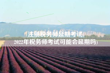 注册税务师延期考试(
2022年税务师考试可能会延期吗)
