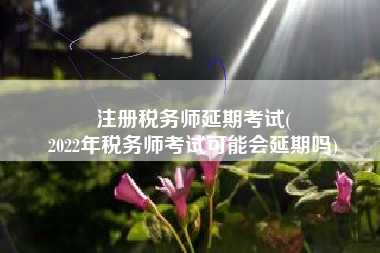 注册税务师延期考试(
2022年税务师考试可能会延期吗)