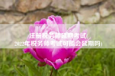 注册税务师延期考试(
2022年税务师考试可能会延期吗)