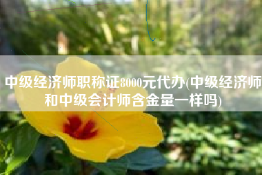 中级经济师职称证8000元代办(中级经济师和中级会计师含金量一样吗)