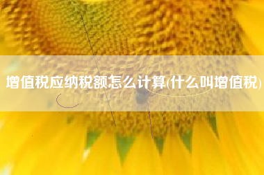 增值税应纳税额怎么计算(什么叫增值税)