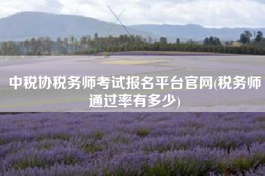 中税协税务师考试报名平台官网(税务师通过率有多少)