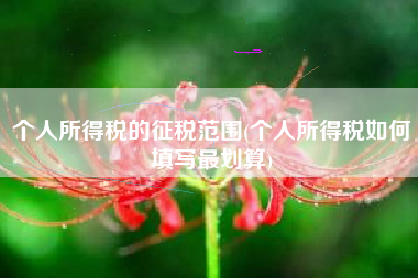 个人所得税的征税范围(个人所得税如何填写最划算)