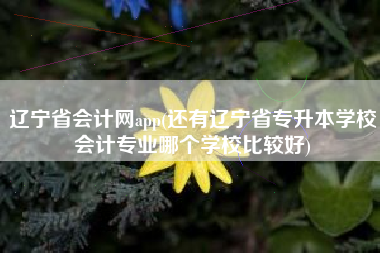 辽宁省会计网app(还有辽宁省专升本学校会计专业哪个学校比较好)