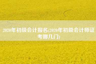 2020年初级会计报名(2020年初级会计师证考哪几门)