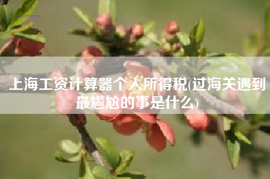 上海工资计算器个人所得税(过海关遇到最尴尬的事是什么)
