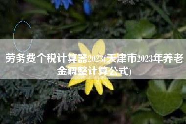 劳务费个税计算器2023(天津市2023年养老金调整计算公式)