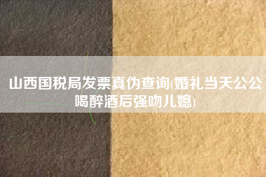山西国税局发票真伪查询(婚礼当天公公喝醉酒后强吻儿媳)