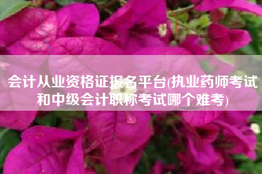 会计从业资格证报名平台(执业药师考试和中级会计职称考试哪个难考)