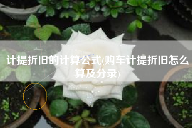 计提折旧的计算公式(购车计提折旧怎么算及分录)