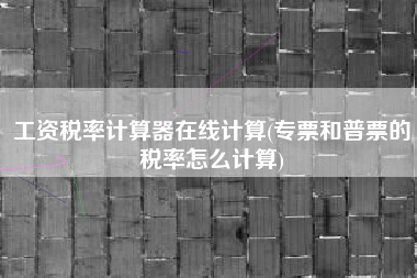 工资税率计算器在线计算(专票和普票的税率怎么计算)