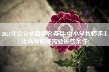 2021年会计中级报名条件(中小学教师评上正高级职称需要哪些条件)