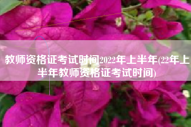 教师资格证考试时间2022年上半年(22年上半年教师资格证考试时间)